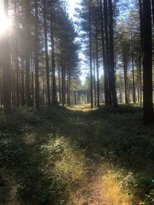 Nightjar Lodge - Adults Only Lackford Экстерьер фото