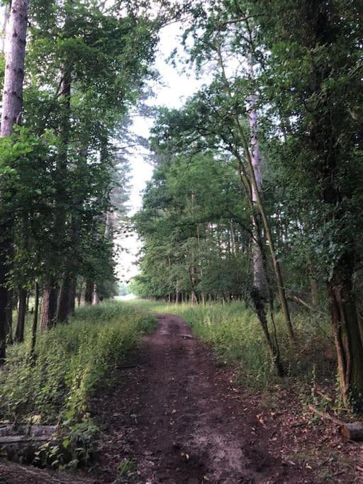Nightjar Lodge - Adults Only Lackford Экстерьер фото